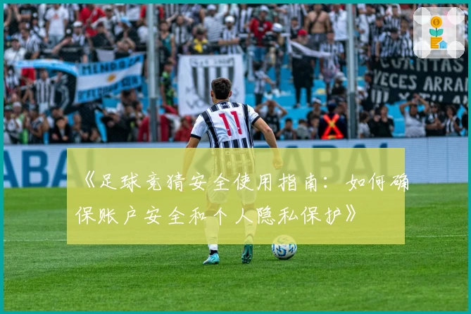 《足球竞猜安全使用指南：如何确保账户安全和个人隐私保护》