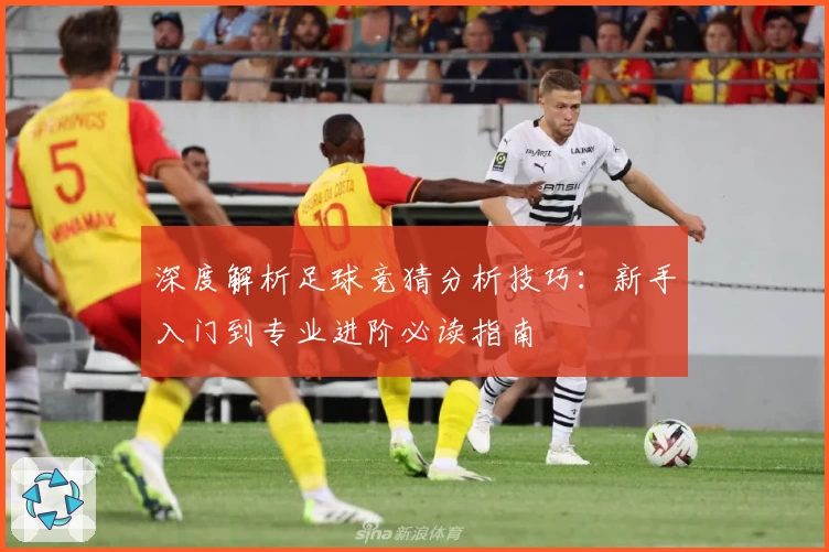 深度解析足球竞猜分析技巧：新手入门到专业进阶必读指南