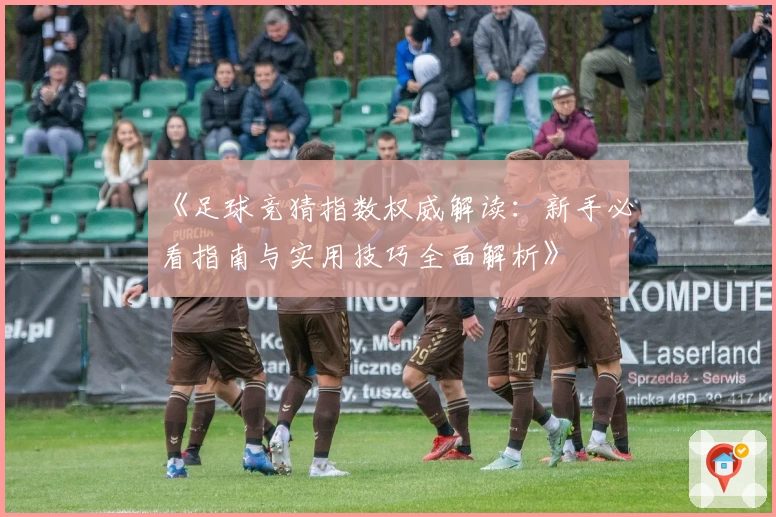 《足球竞猜指数权威解读：新手必看指南与实用技巧全面解析》