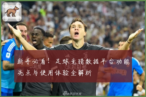新手必看!足球竞猜数据平台功能亮点与使用体验全解析