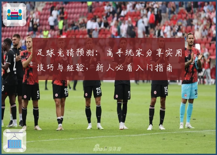 足球竞猜预测：高手玩家分享实用技巧与经验，新人必看入门指南